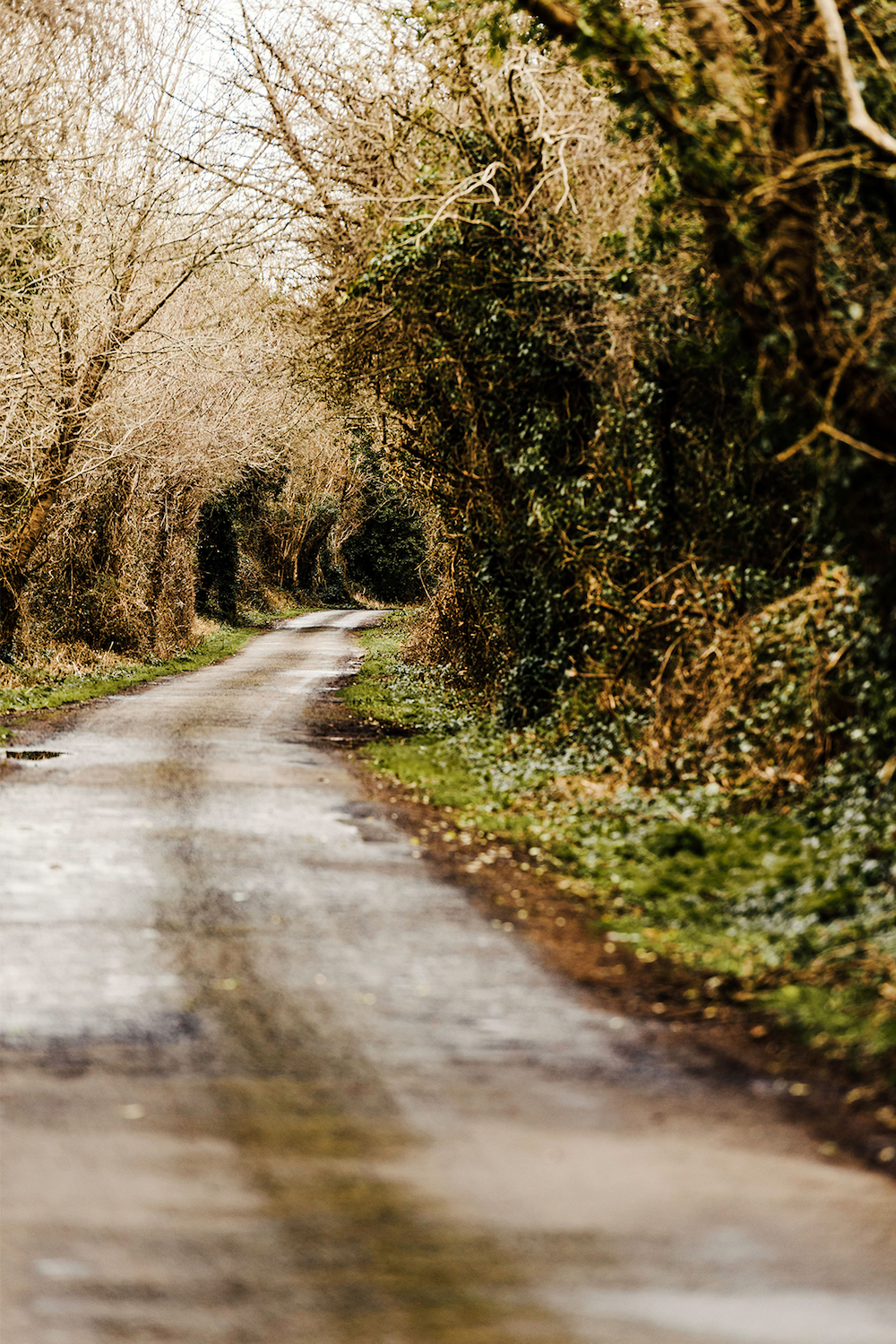 Trau dich anders zu sein. Warum es gut tut, den Mainstream zu verlassen. Texterella Susanne Ackstaller schreibt auf ihrem Blog über Lifestyle und Mode für Frauen ab 40 und ab 50.
