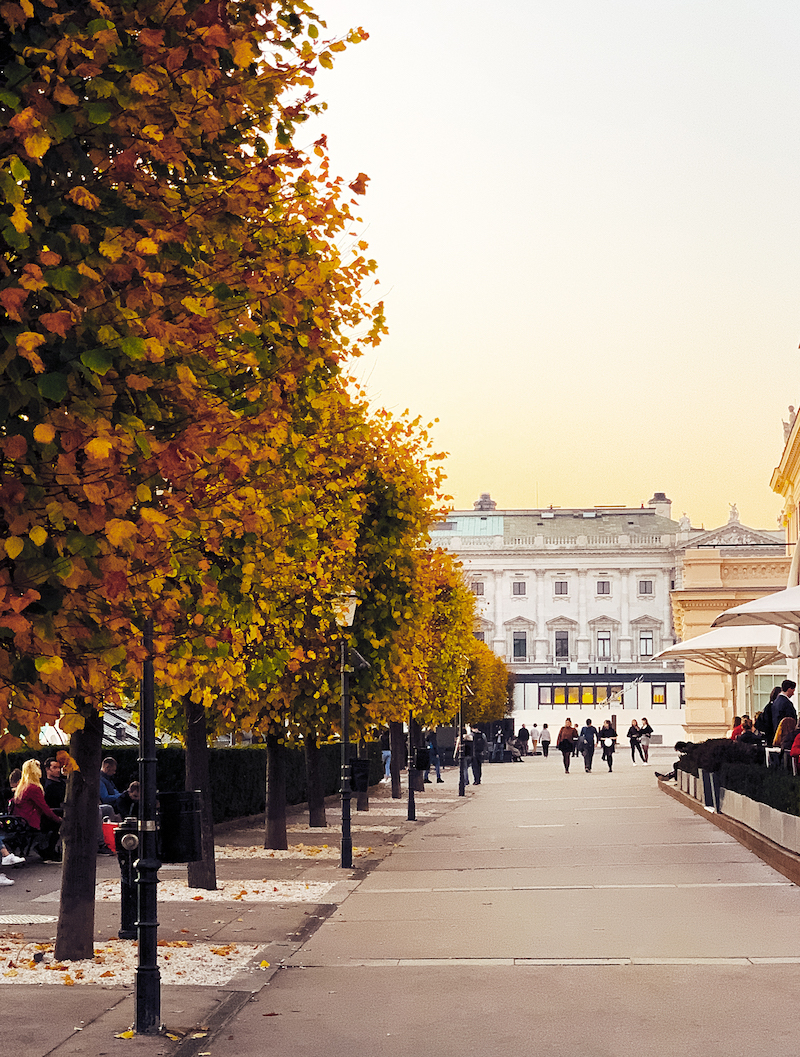 Städtereise 2019: Was Wien im Herbst so besonders schön macht!