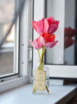 Irene-strong-unsplash