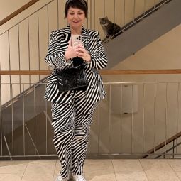 Zebra und katze-2