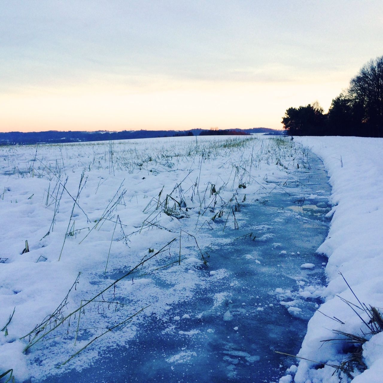 5. Januar 2015: Frost im Ampertal.