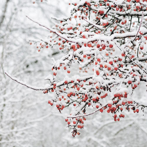 Winterwelt in Oberbayern