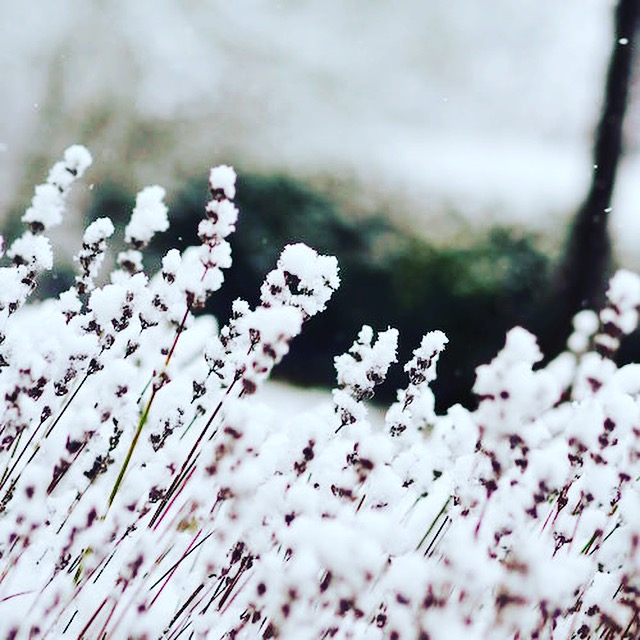 Winterwelt in Oberbayern