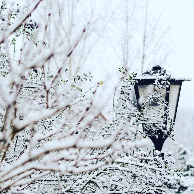Winterwelt in Oberbayern