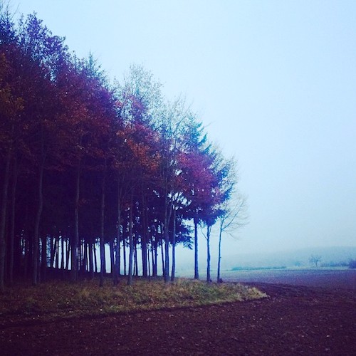 Herbstnebel im Ampertal