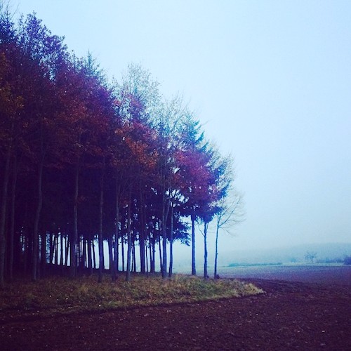 Herbstnebel im Ampertal