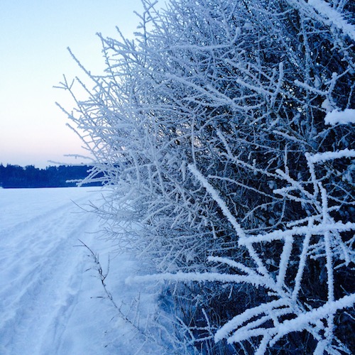 Frostiger Wintertag