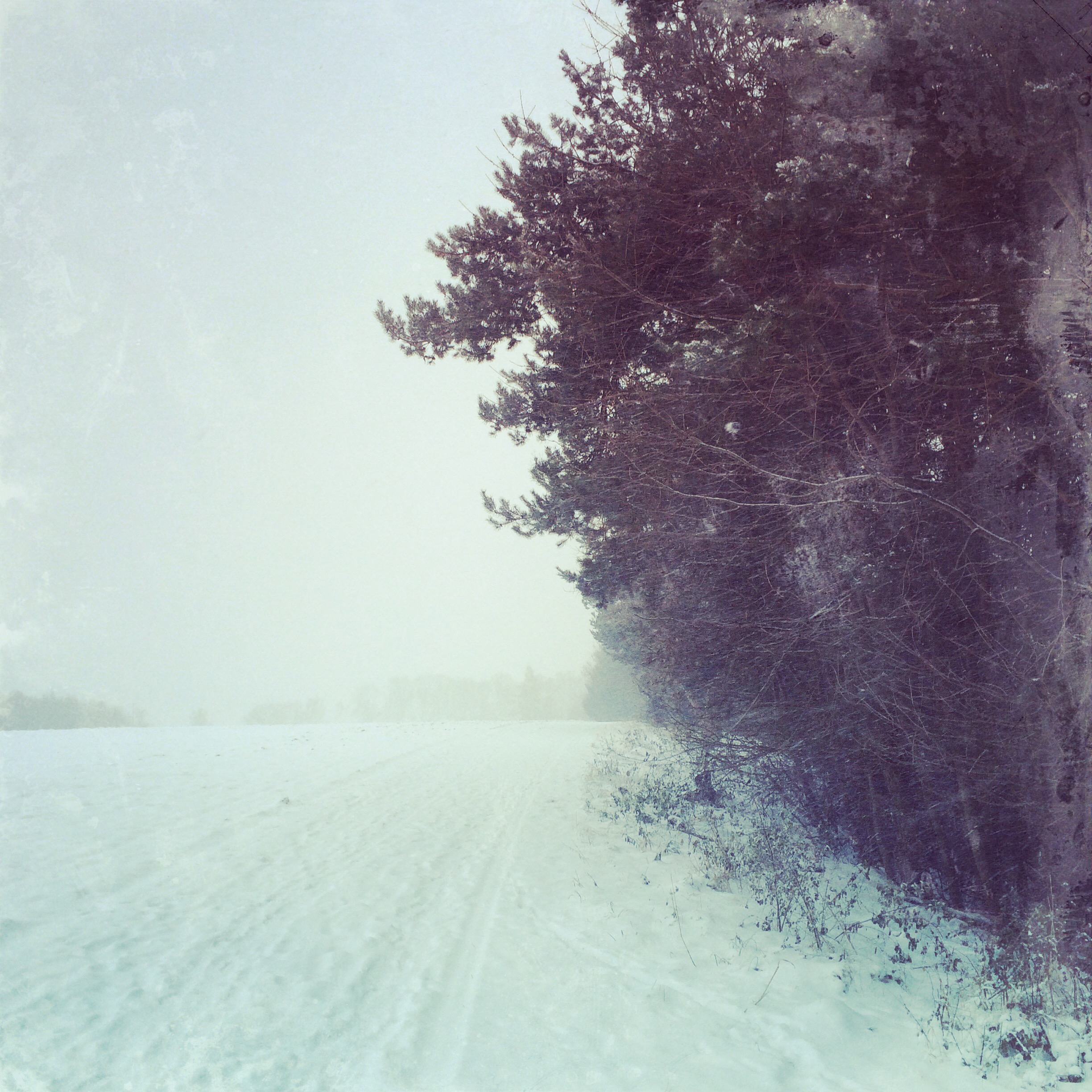 Winterlandschaft in Monochrom, Ampertal 2014